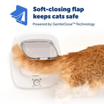 Petsafe Big Cat/Small Dog Pet Door