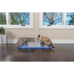 Two cats drinking together from the PetSafe Drinkwell 7.5 Litre Pet Fountain