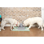 Two large dogs drinking from the PetSafe Drinkwell 7.5 Litre Pet Fountain