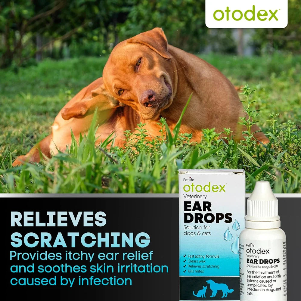 Otodex Eardrops 14ml - Valuepet.ie