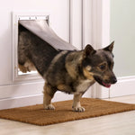 Dog using a pet door in a home setting