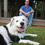 Wireless Radio Fence From Petsafe - Valuepet.ie
