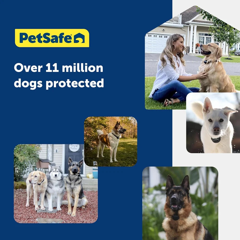 Wireless Radio Fence From Petsafe