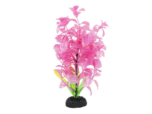 Aquarium Decorations