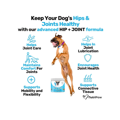 Nutripaw Hip and Joint Treats