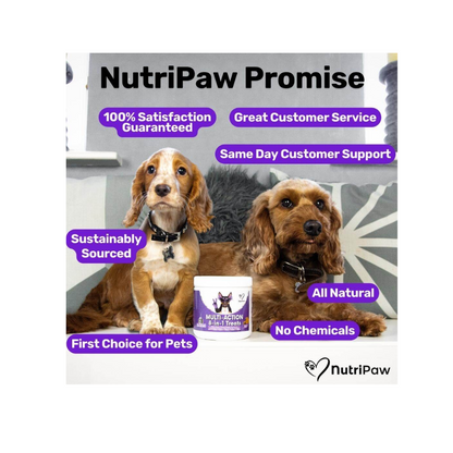 Nutripaw Multi-Action 8 in 1 Treats - Valuepet.ie