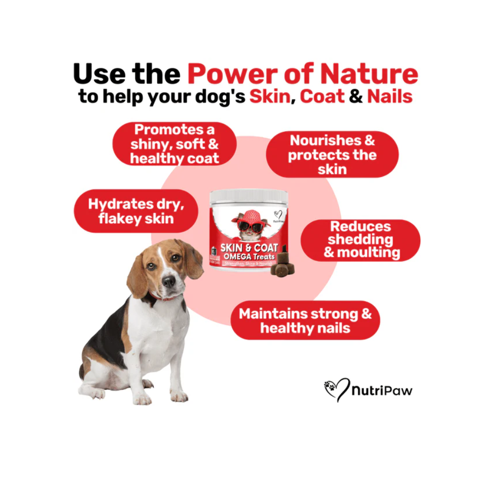 Nutripaw Skin and Coat Omega Treats - Valuepet.ie