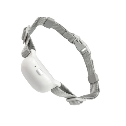 Pawguard Dog Training Collar T200 Rechargeable, Long range