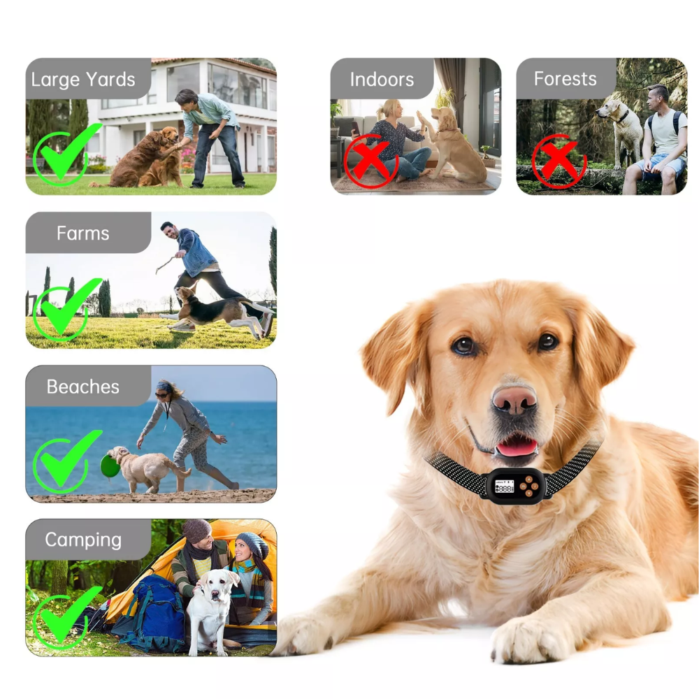Pawguard Freedom Plus Fence – Wireless Dog Fence Ireland | Petworld.ie