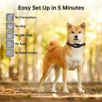 PawGuard 820 GPS Wireless Dog Fence