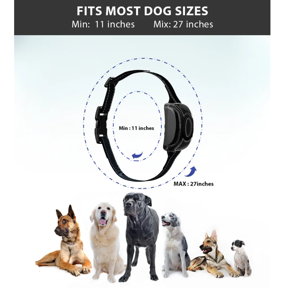 Pawguard T710S Small Dog Training Collar