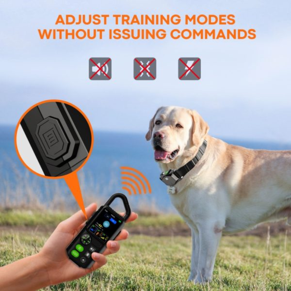 Pawguard Freedom Go Fence – Portable Wireless Dog Fence and Trainer