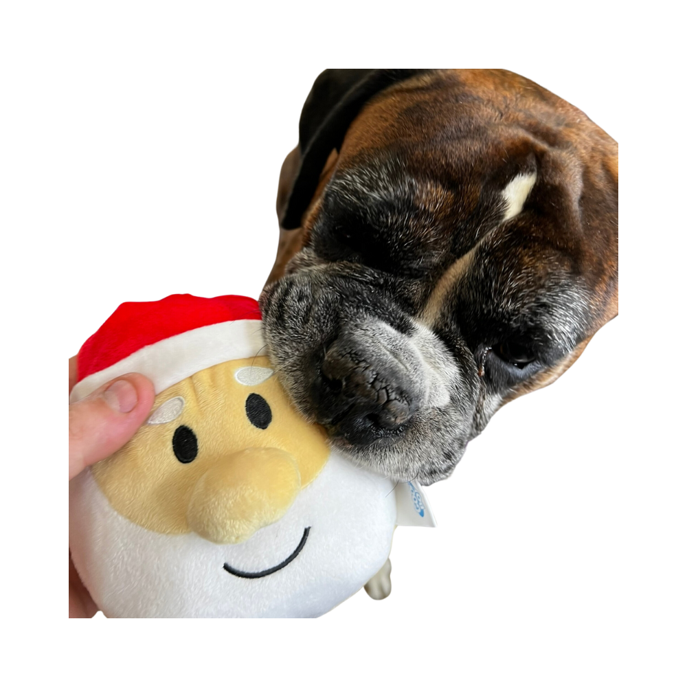 Good Boy Santa Head Soft Plush Dog Toy - Valuepet.ie