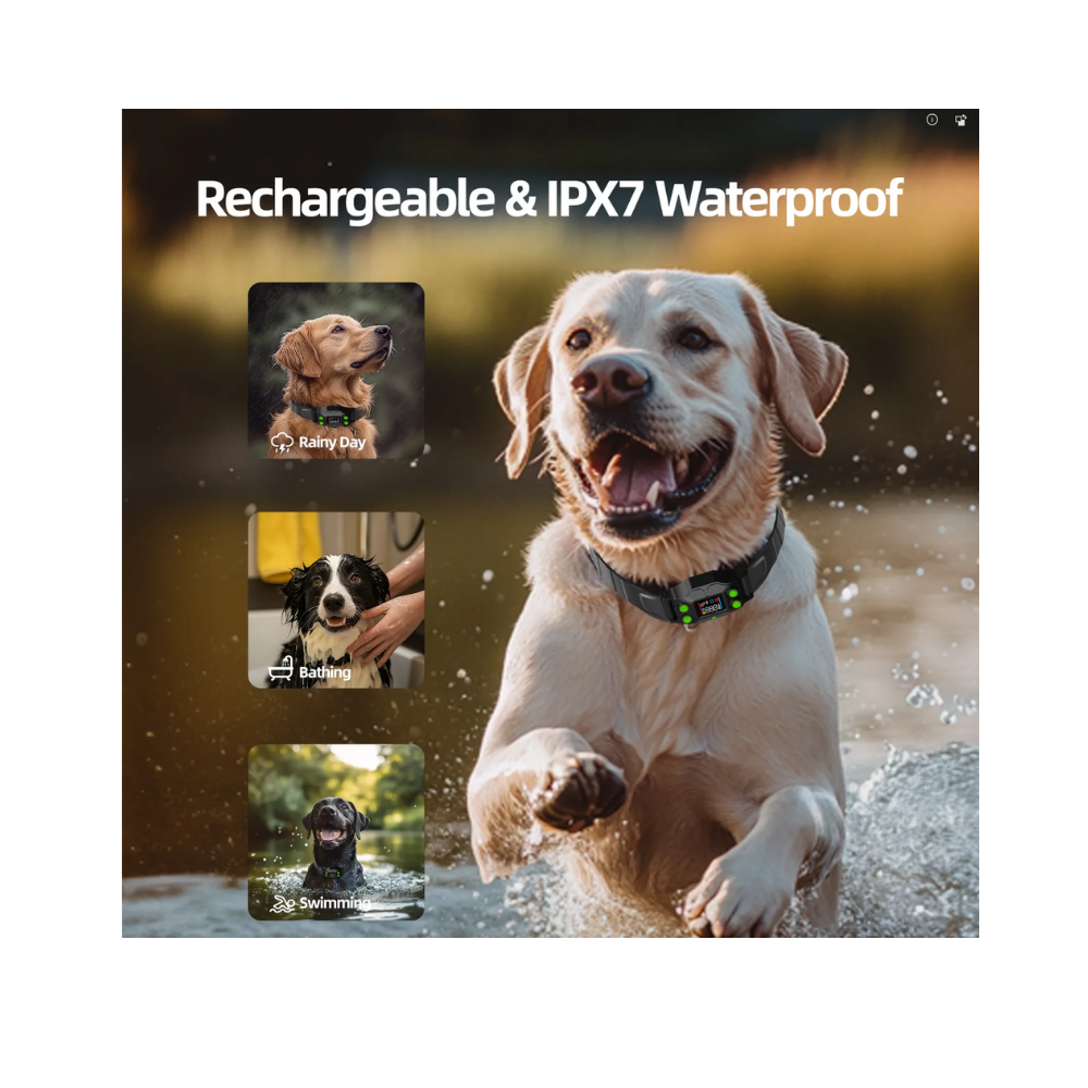 PawGuard GPS F830 Plus Wireless Dog Fence – Adjustable Boundary, No Wires