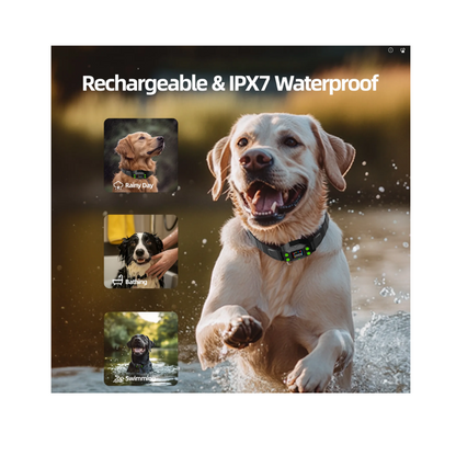 PawGuard GPS F830 Plus Wireless Dog Fence – Adjustable Boundary, No Wires
