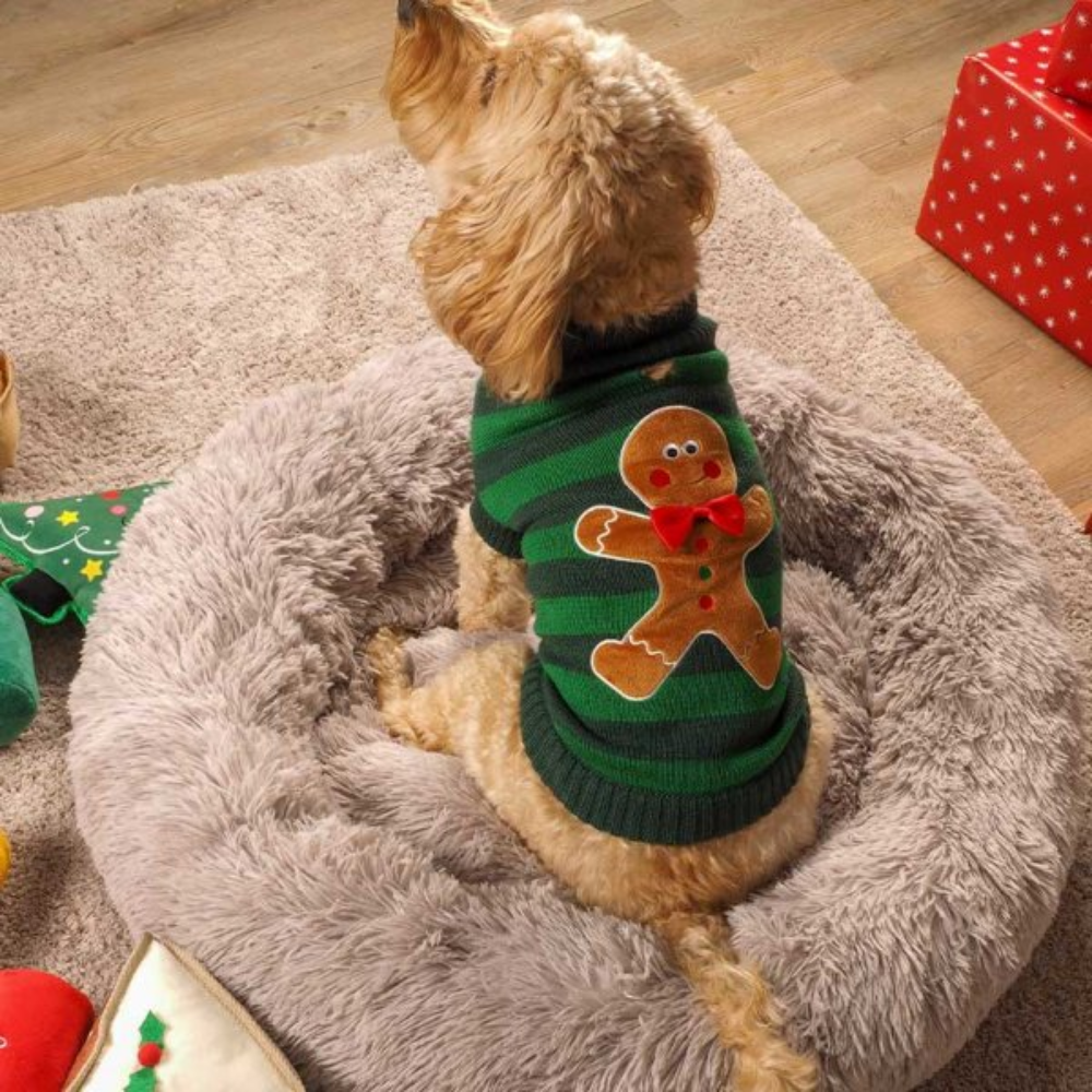 Gingerbread Jumper - 35cm - Valuepet.ie