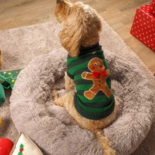 Gingerbread Jumper - 35cm - Valuepet.ie