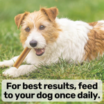 Nutripaw Dental Sticks