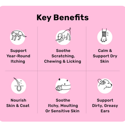 Nutripaw All-Itch & Immunity Treats - Valuepet.ie