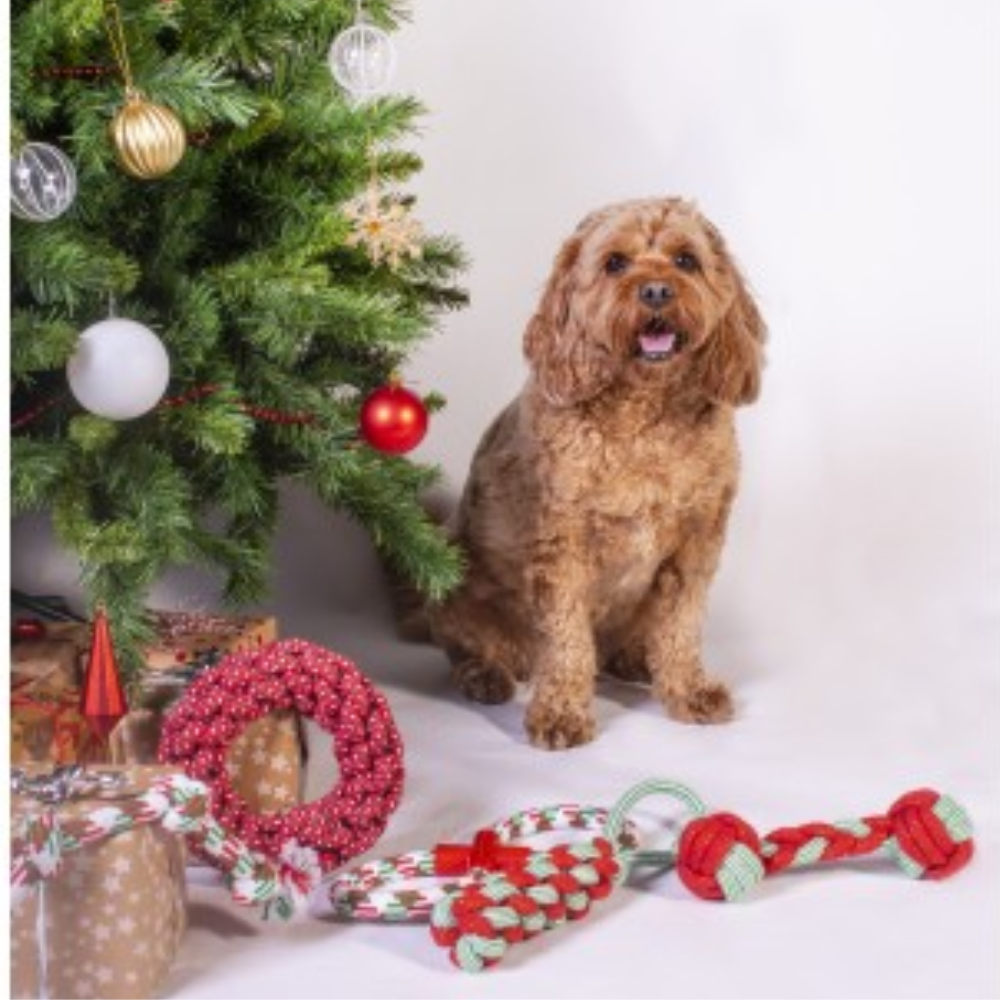 Christmas Rope Dog Toy- 44cm - Valuepet.ie