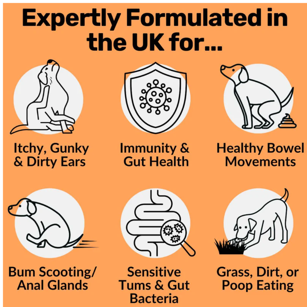 Nutripaw Pre, Pro and Post Biotic Treats for Gut, Immunity and Digestion - Valuepet.ie