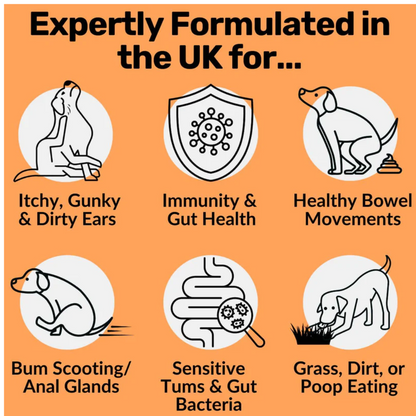 Nutripaw Pre, Pro and Post Biotic Treats for Gut, Immunity and Digestion - Valuepet.ie