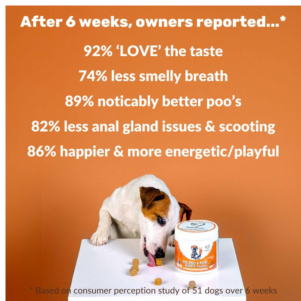 Nutripaw Pre, Pro and Post Biotic Treats for Gut, Immunity and Digestion - Valuepet.ie
