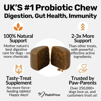 Nutripaw Pre, Pro and Post Biotic Treats for Gut, Immunity and Digestion - Valuepet.ie