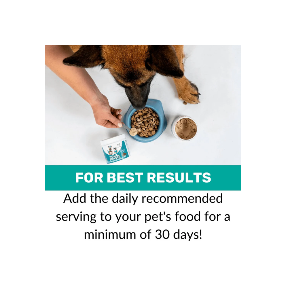 Nutripaw Dental Powder 100 scoops - Valuepet.ie