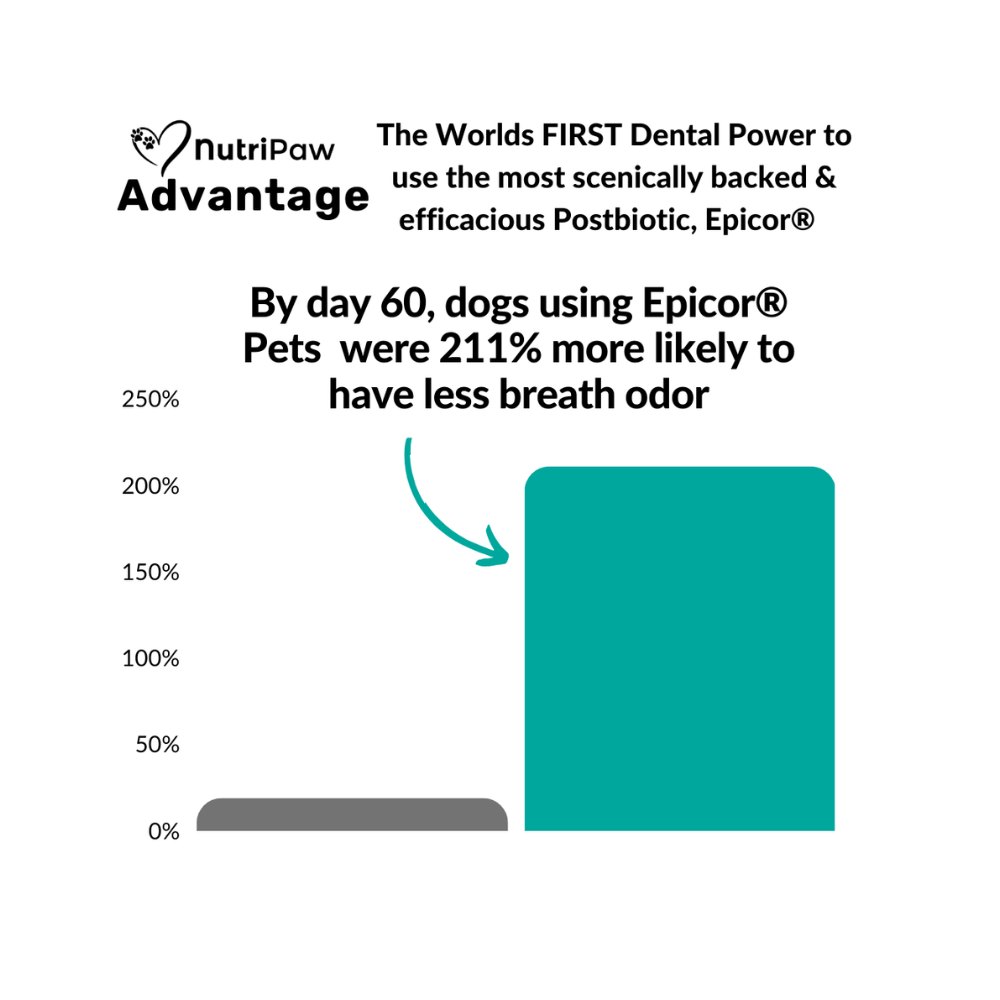 Nutripaw Dental Powder 100 scoops - Valuepet.ie