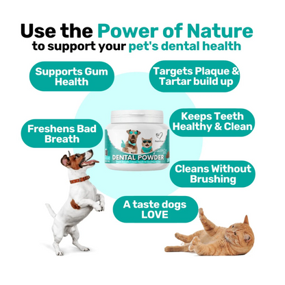 Nutripaw Dental Powder 100 scoops - Valuepet.ie