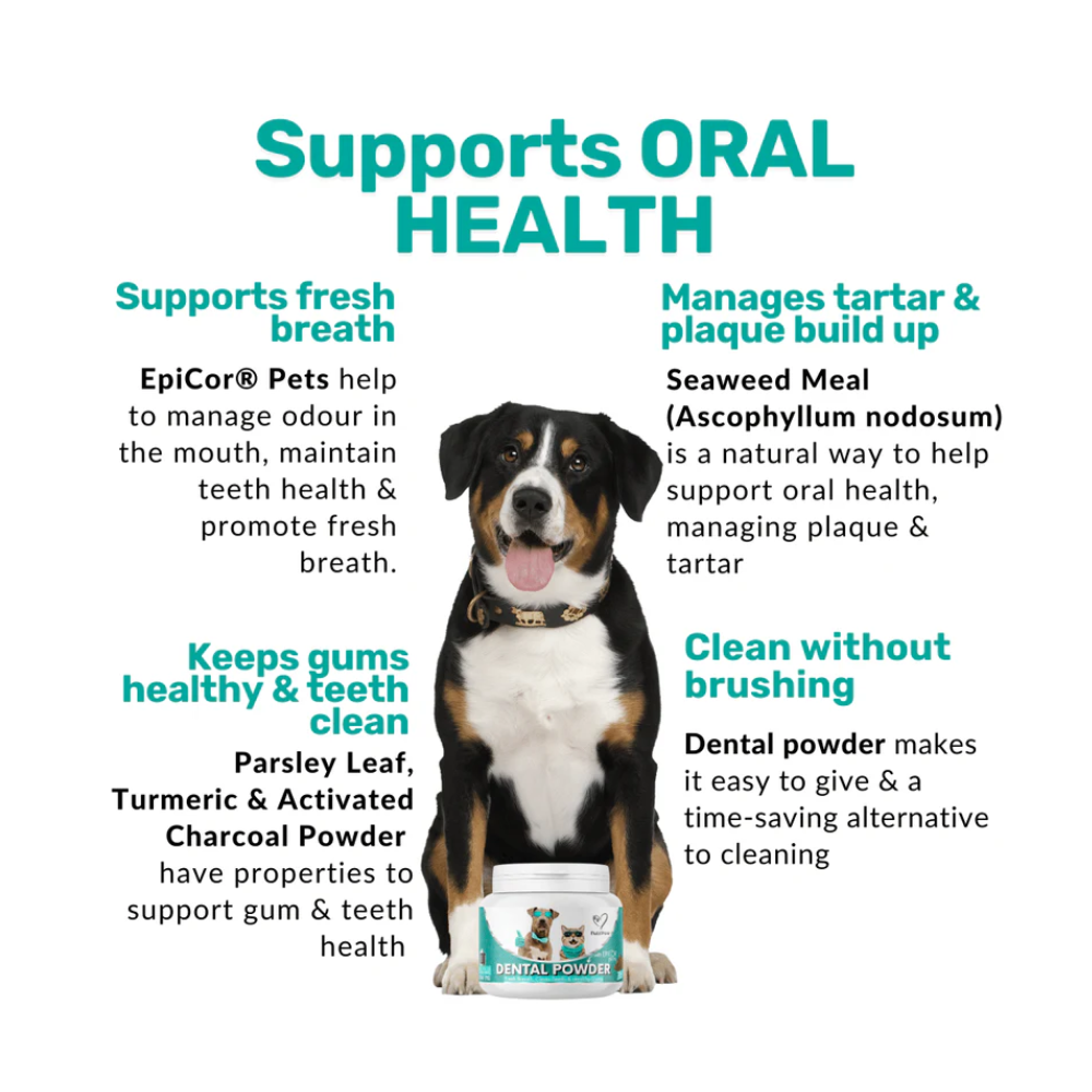 Nutripaw Dental Powder 100 scoops - Valuepet.ie