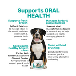 Nutripaw Dental Powder 100 scoops - Valuepet.ie