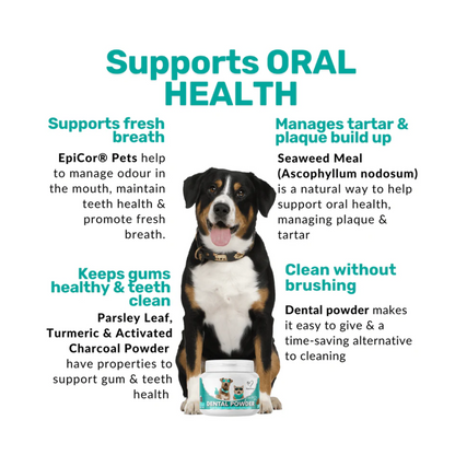 Nutripaw Dental Powder 100 scoops - Valuepet.ie