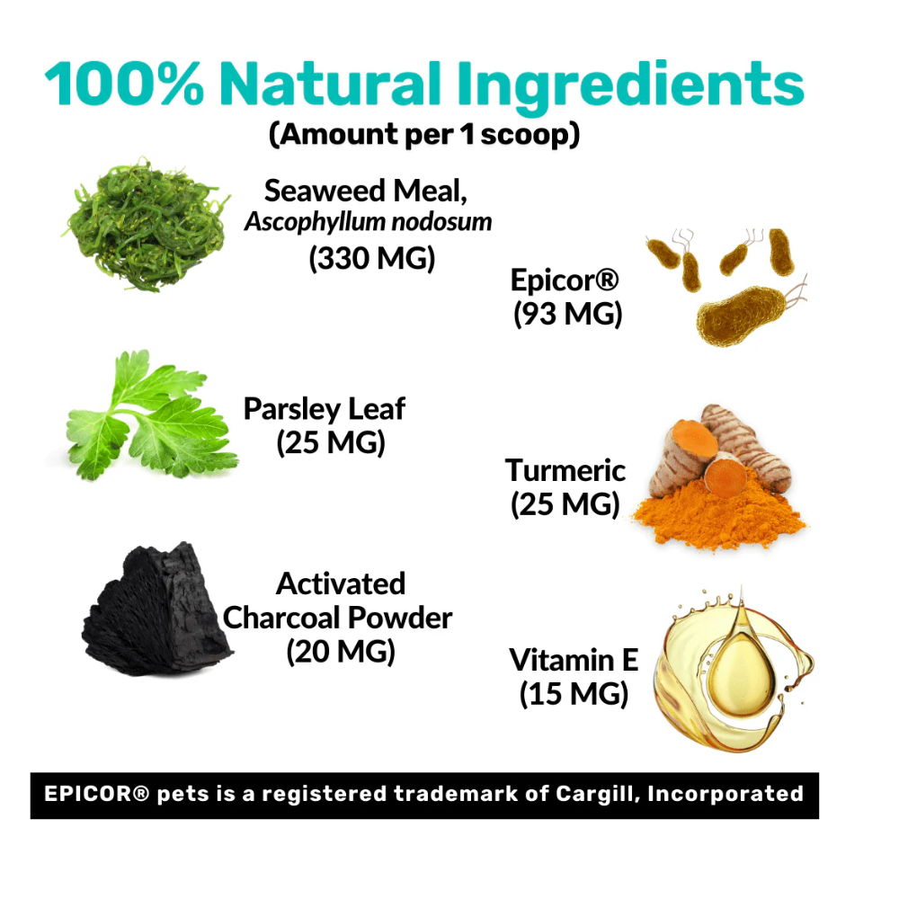 Nutripaw Dental Powder 100 scoops - Valuepet.ie