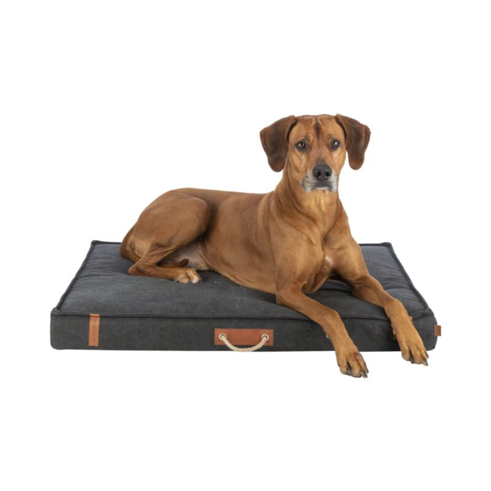 Be Nordic Föhr Mattress, 100 × 70 Cm, Black - Valuepet.ie