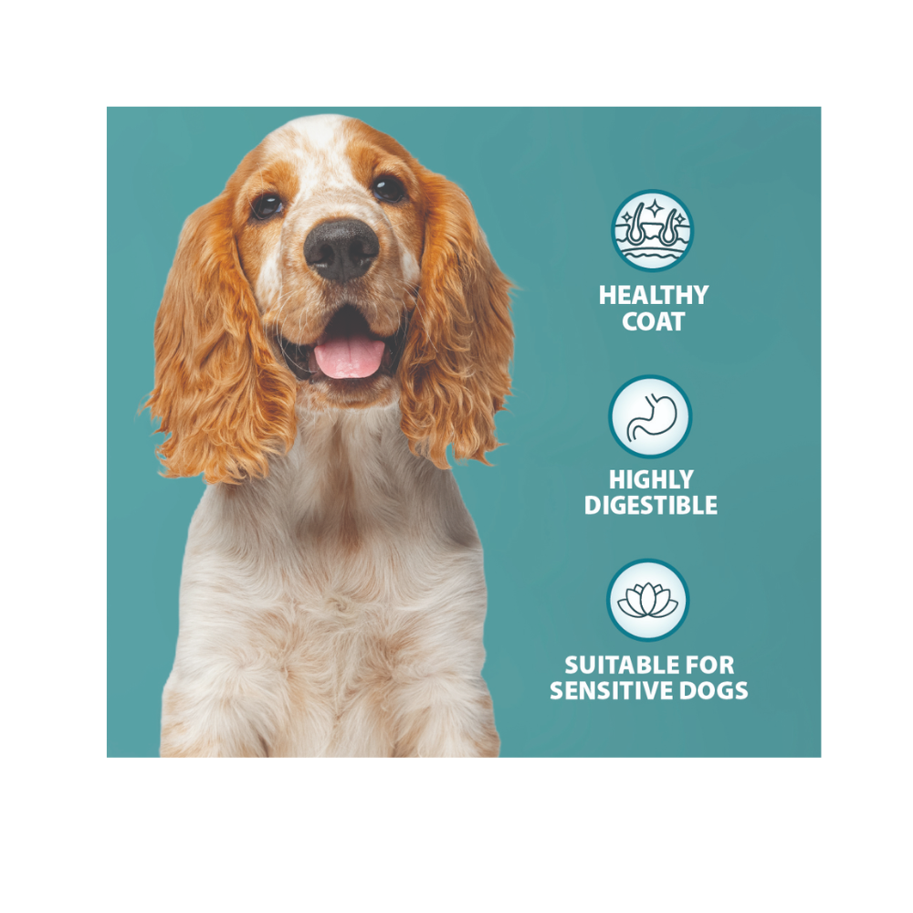 Burns Sensitive Grain Free Adults Turkey & Potato - Valuepet.ie