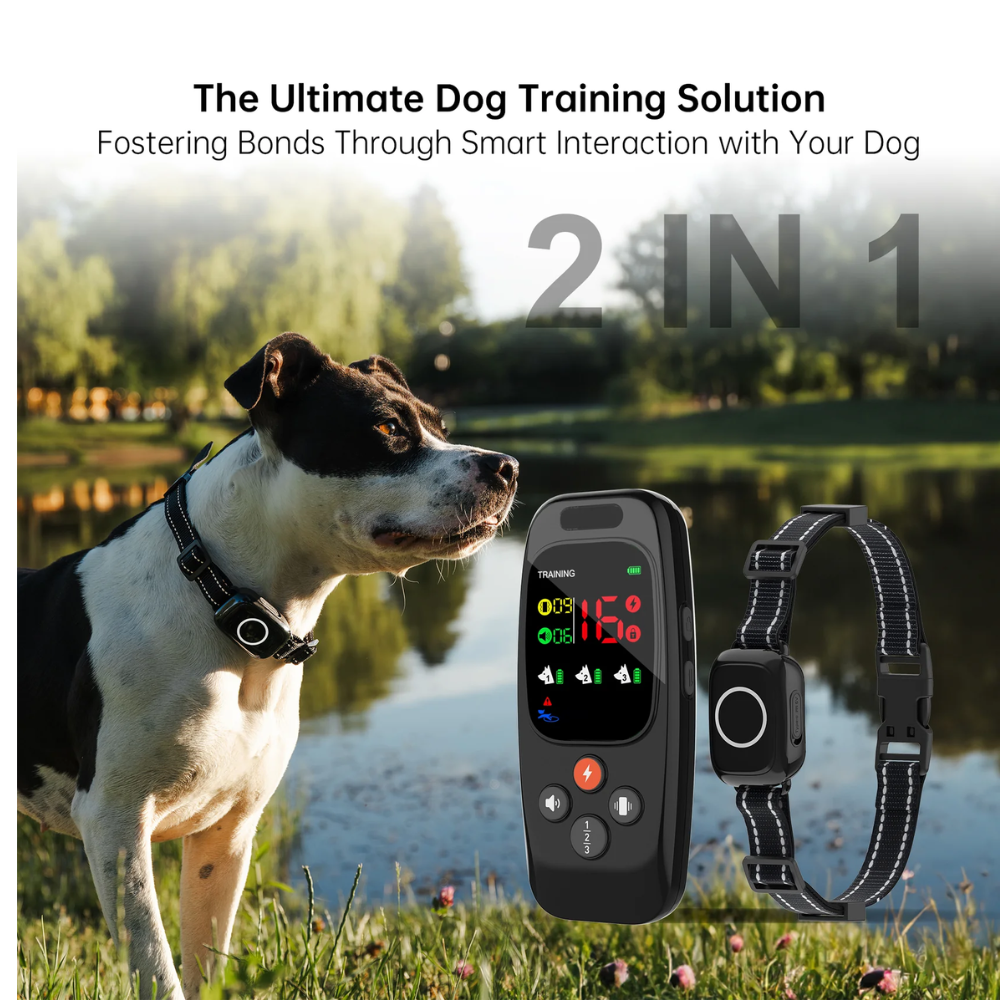 Pawguard T800 Training Collar