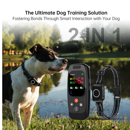 Pawguard T800 Training Collar