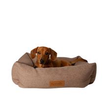 Scruffs Seattle Box Bed - Valuepet.ie