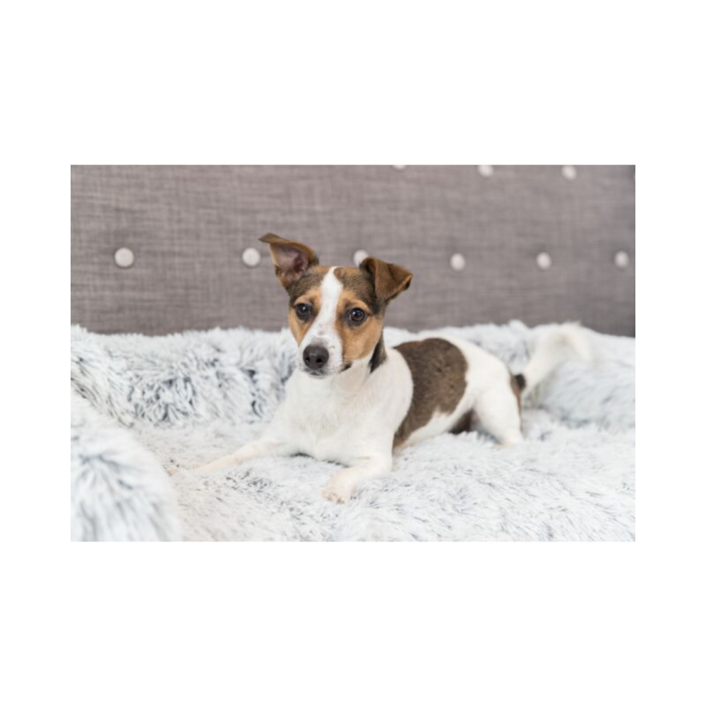 Harvey Pet Furniture Protector Sofa Bed – Soft Edition - Valuepet.ie