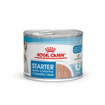 Royal Canin Starter Mousse Dog Food - Valuepet.ie