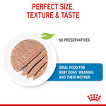 Royal Canin Starter Mousse Dog Food - Valuepet.ie