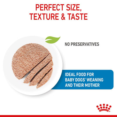 Royal Canin Starter Mousse Dog Food - Valuepet.ie