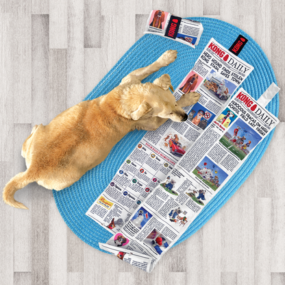 KONG  Daily Newspaper XL - Valuepet.ie