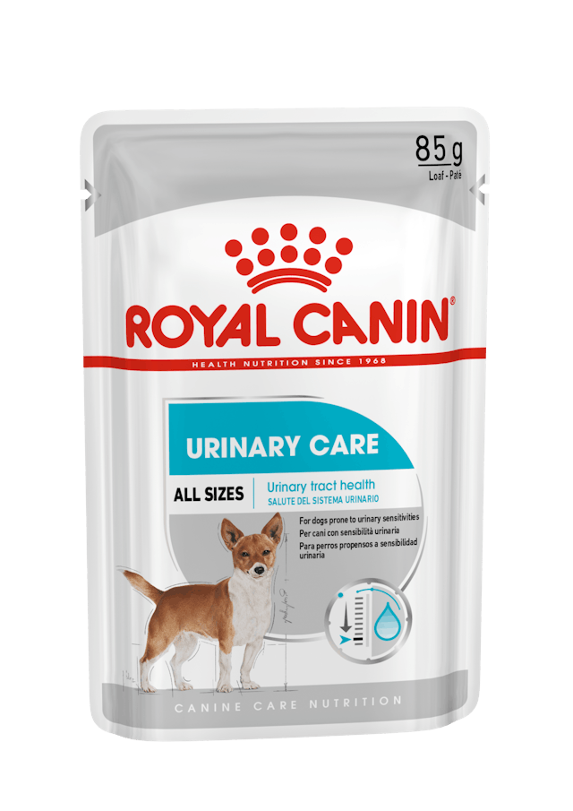 Royal Canin Urinary Care Loaf Dog 85g Pouch - Valuepet.ie