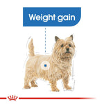 Royal Canin Light Weight Care 85g Pouch - Valuepet.ie