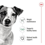 Royal Canin Dog Adult Mini 195g