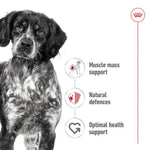 Royal Canin Wet Dog Food Features