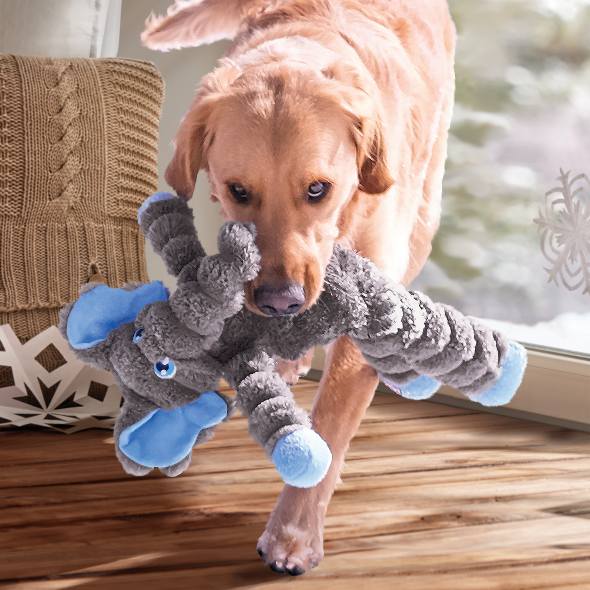 KONG  Shakers Crumples Elephant XL - Valuepet.ie